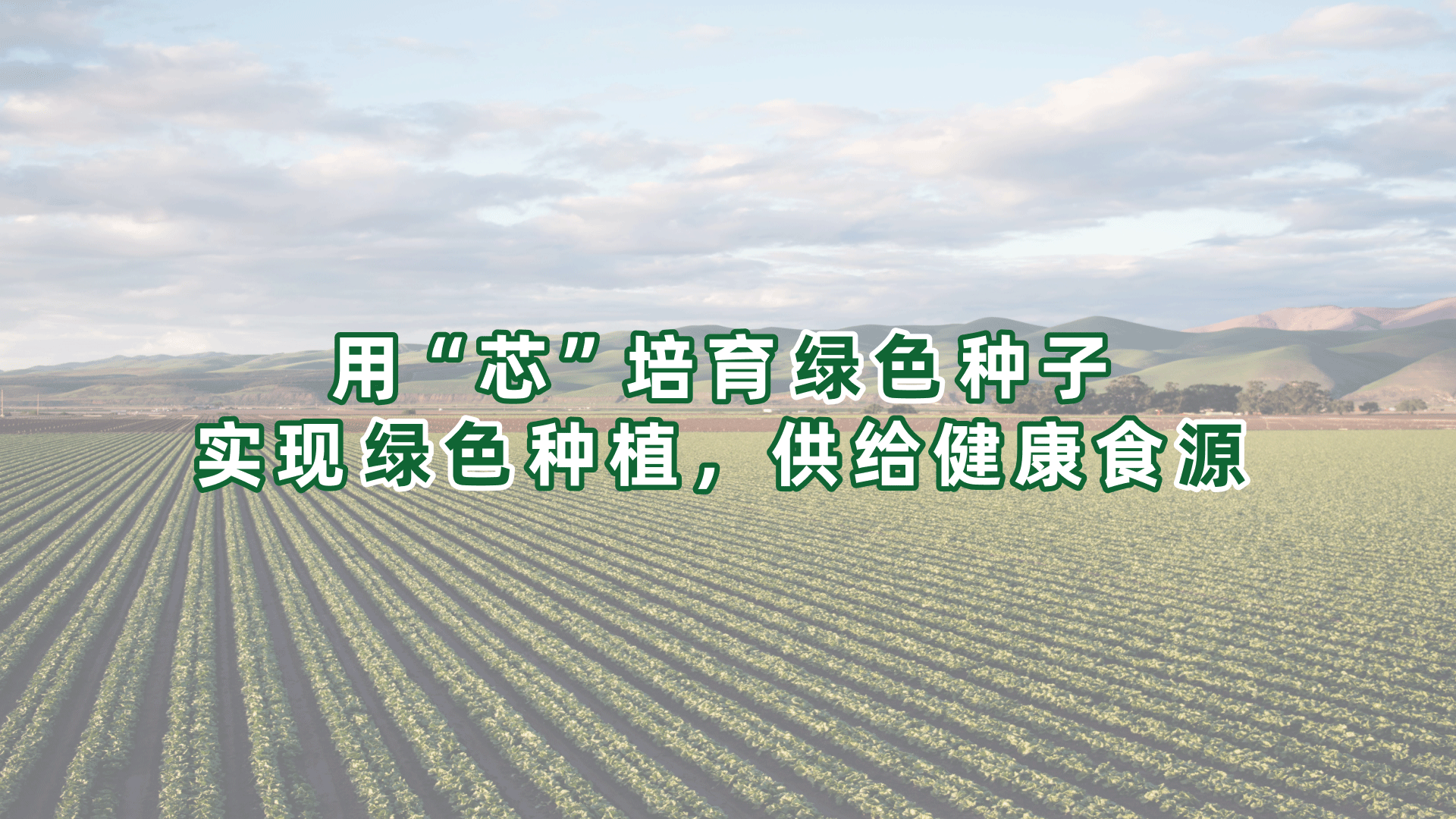 首页轮播图