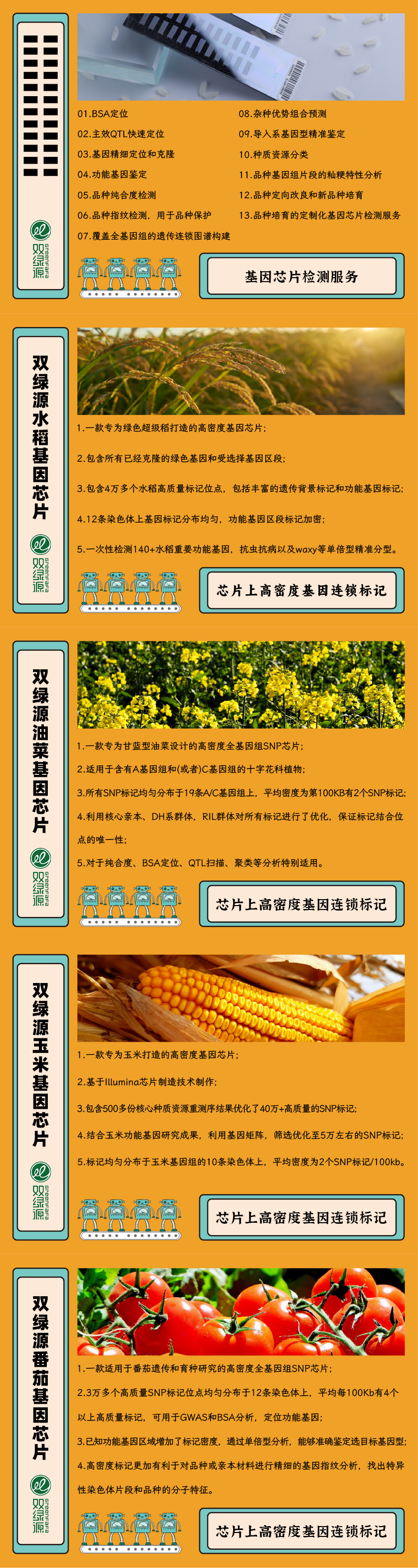 基因芯片